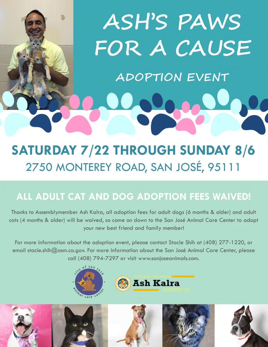 Ash’s Paws for a Cause Adoption Event